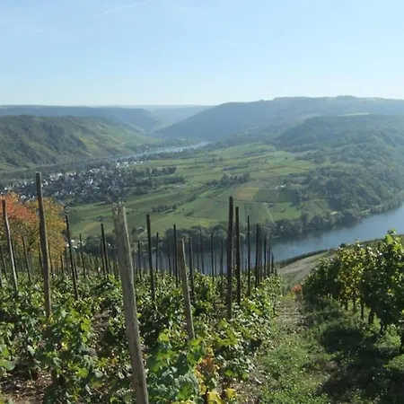 Appartement Ferienwohnung Weiherblick ****,